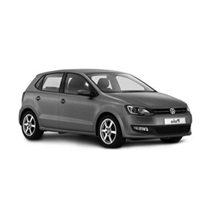 Polo 2009-2024